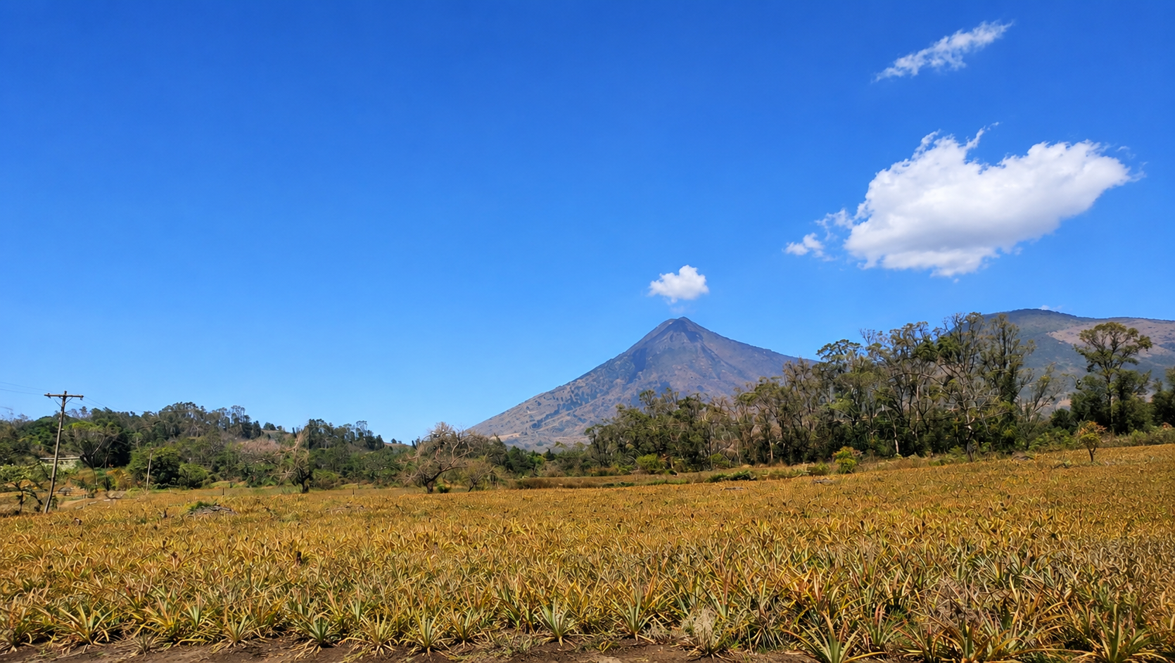 Finca Villa Canales